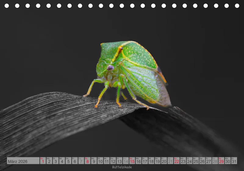 Colorkey