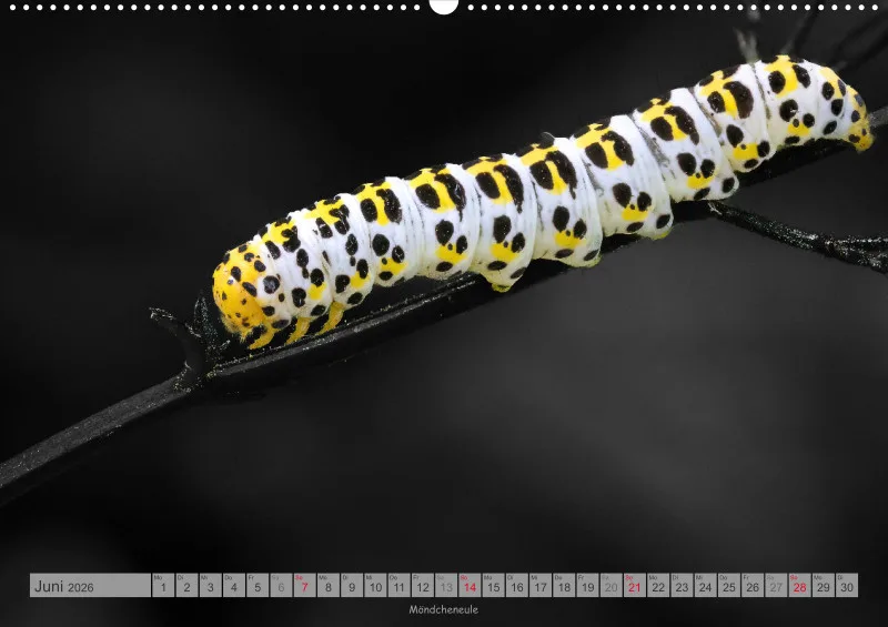 Colorkey