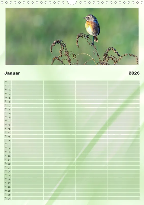 Vögel I Familienplaner