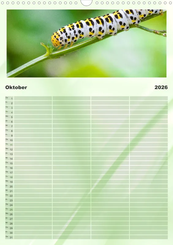 Insekten Familienplaner