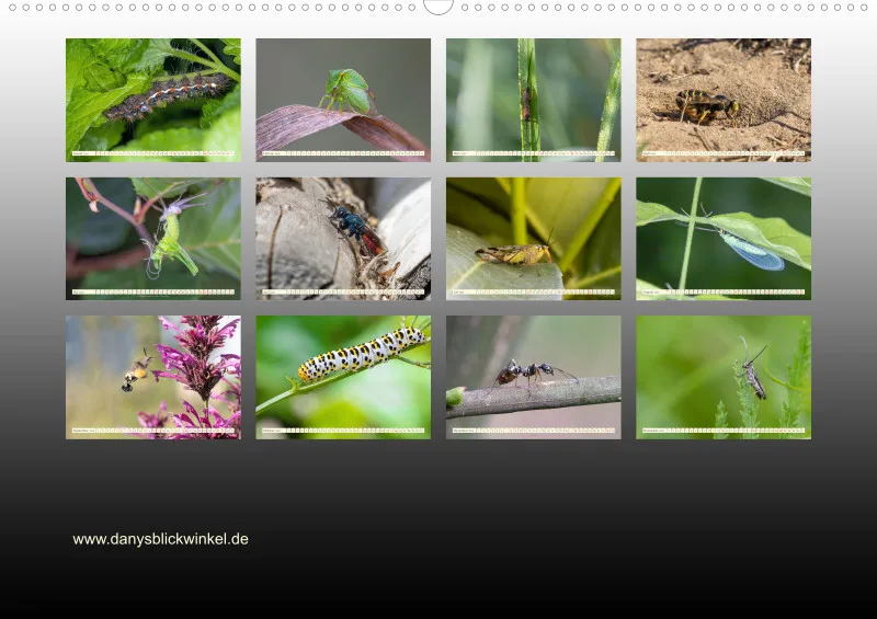 Insekten