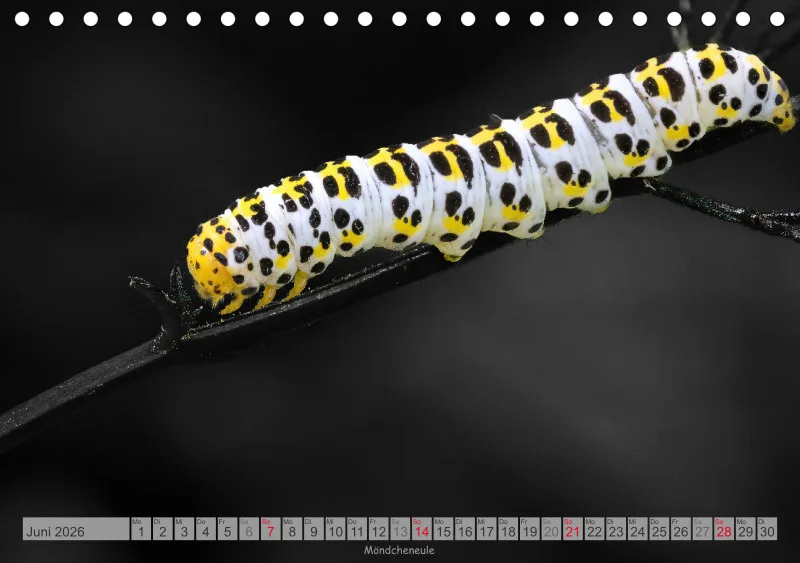 Colorkey