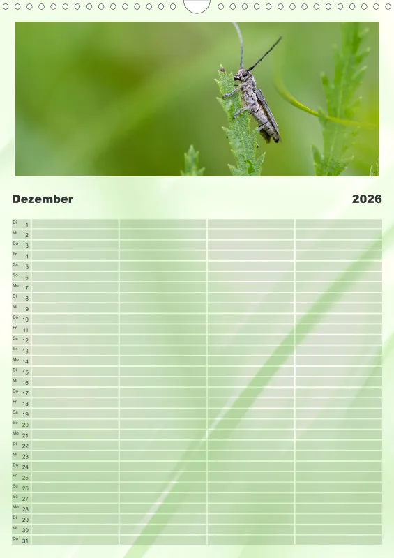 Insekten Familienplaner