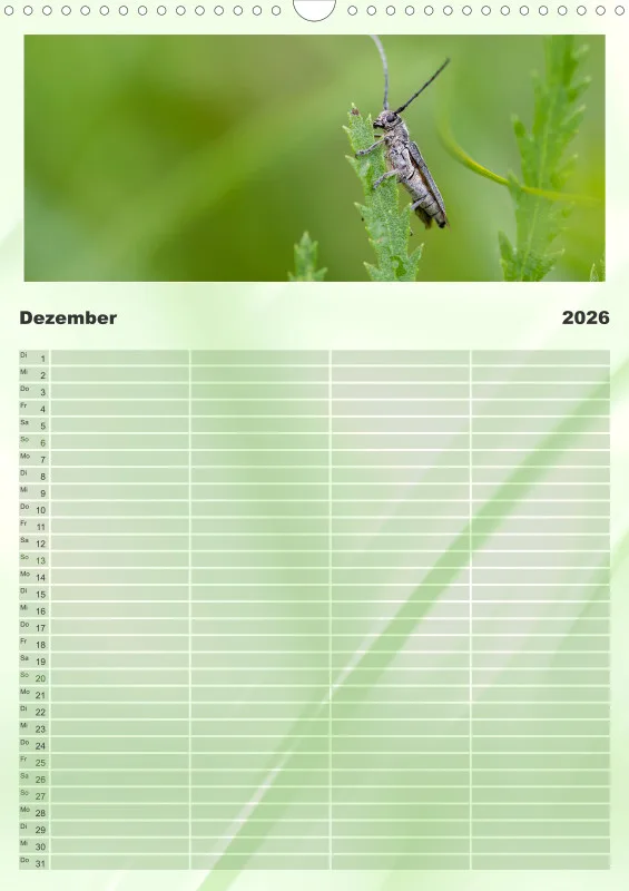 Insekten Familienplaner