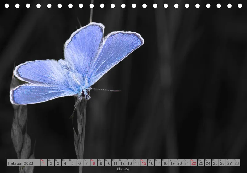 Colorkey