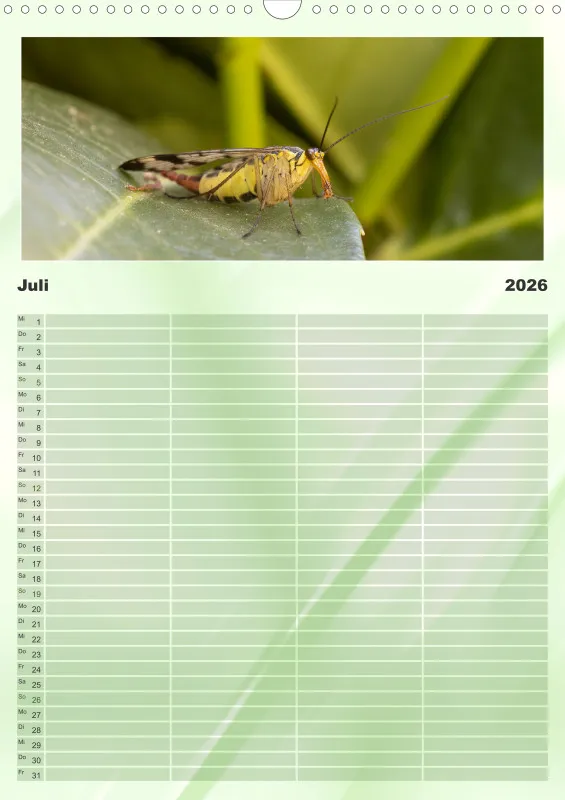 Insekten Familienplaner