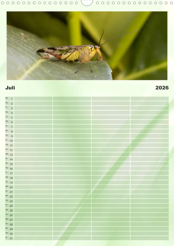Insekten Familienplaner