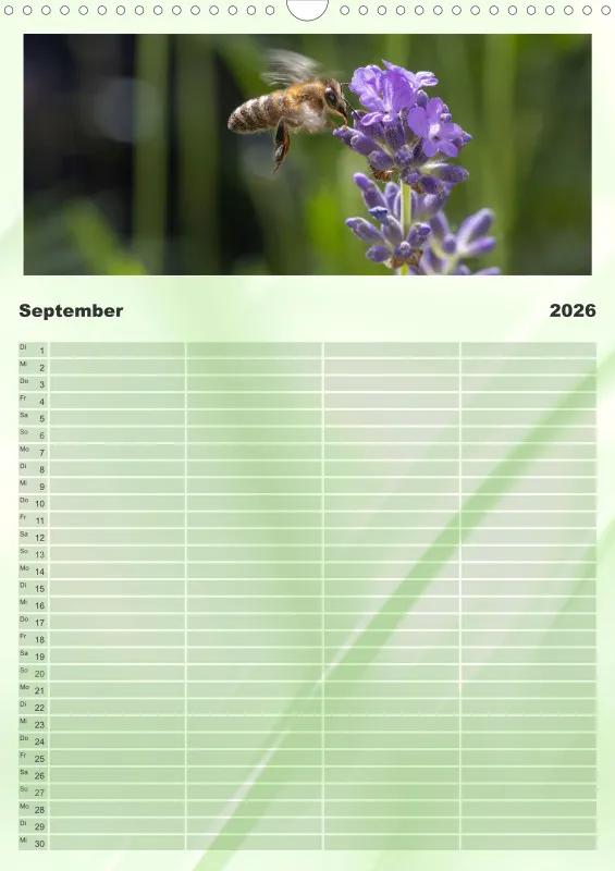 Bienen/Hummeln Familienplaner