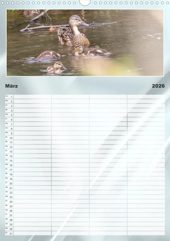 Vögel am Wasser Familienplaner
