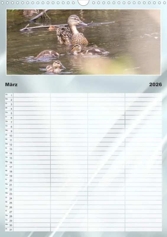 Vögel am Wasser Familienplaner
