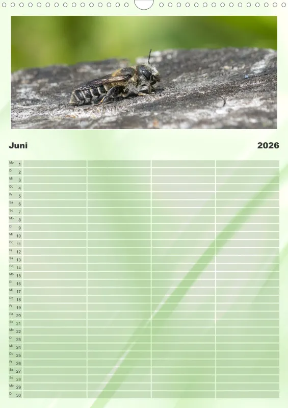 Bienen/Hummeln Familienplaner