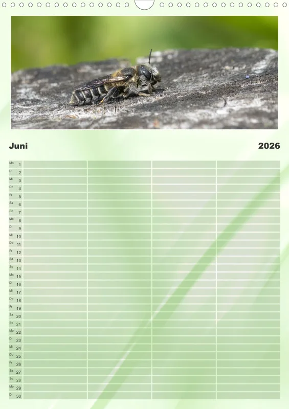 Bienen/Hummeln Familienplaner