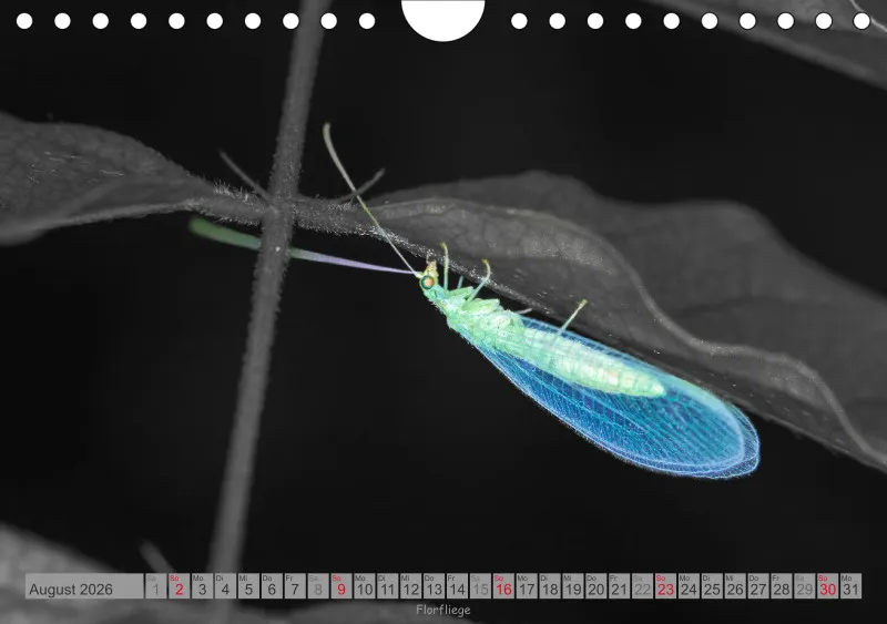 Colorkey