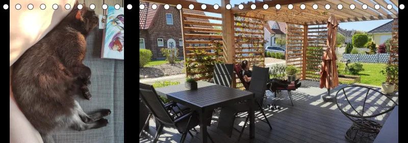 Vögel I Familienplaner