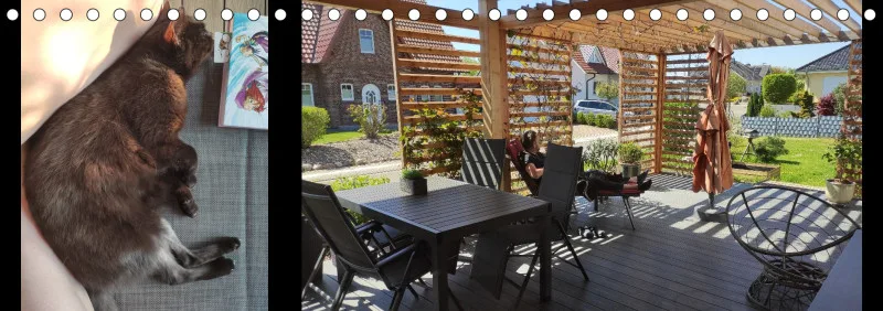 Vögel I Familienplaner
