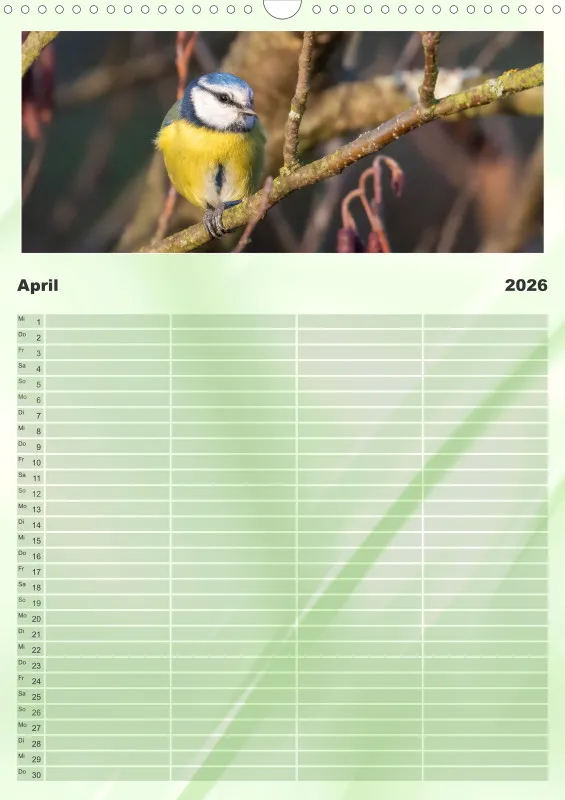 Vögel I Familienplaner