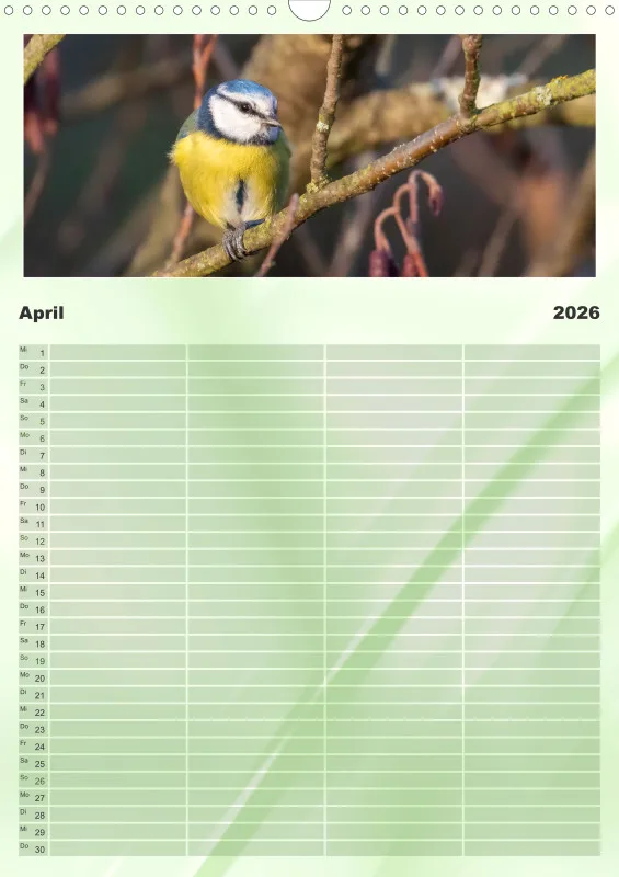 Vögel I Familienplaner