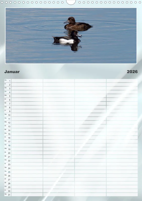 Vögel am Wasser Familienplaner