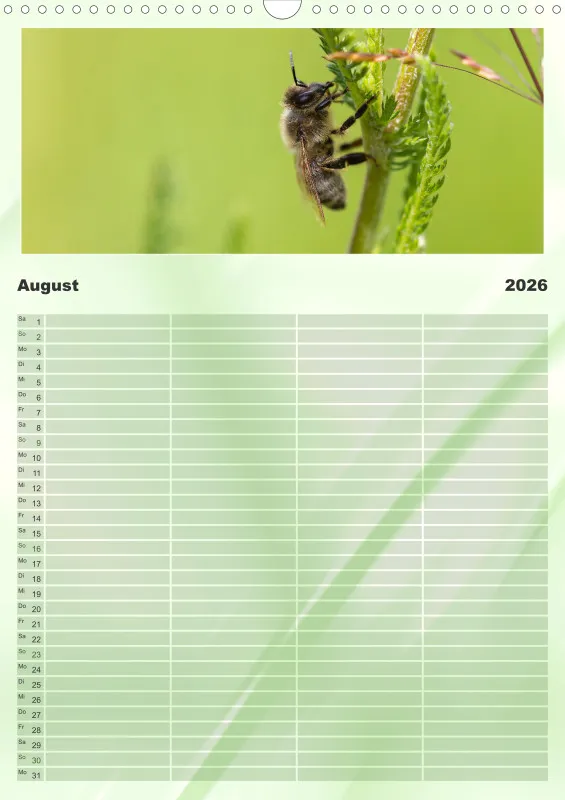 Bienen/Hummeln Familienplaner