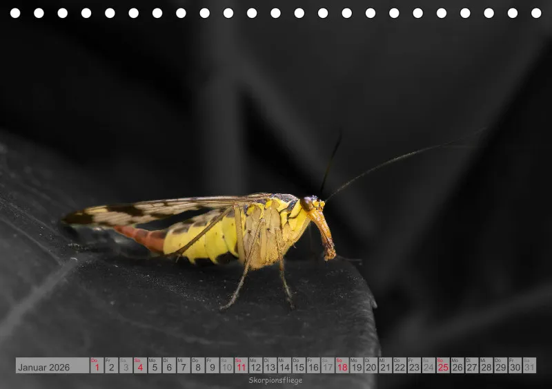 Colorkey