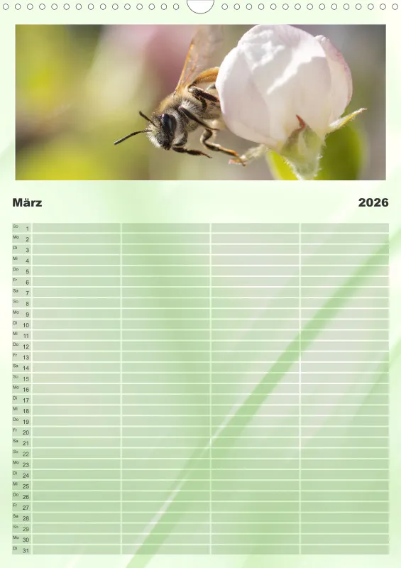 Bienen/Hummeln Familienplaner