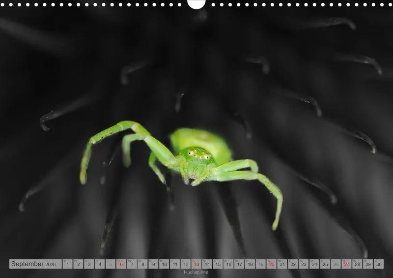 Colorkey