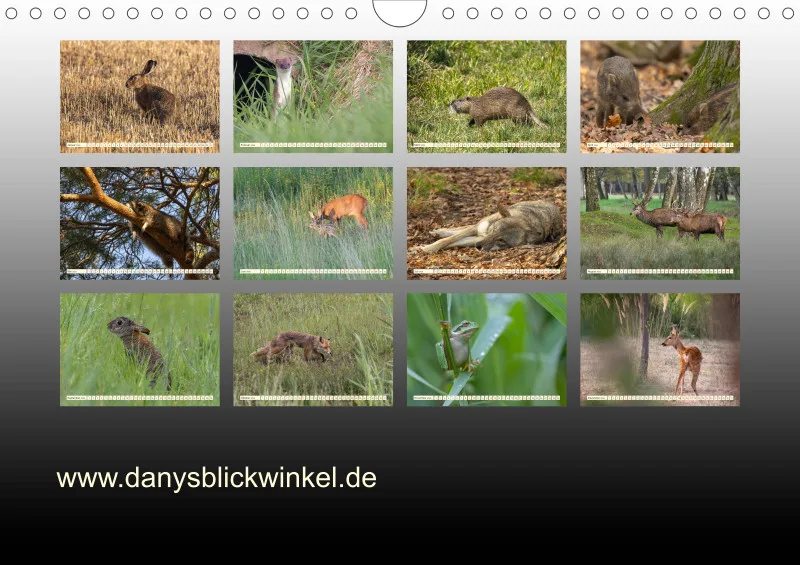 Wildtiere
