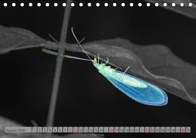 Colorkey