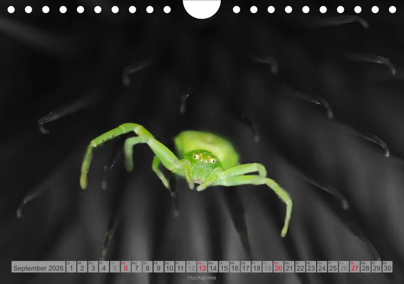 Colorkey
