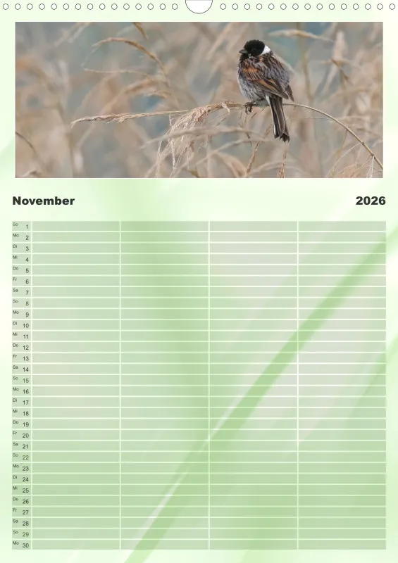Vögel I Familienplaner