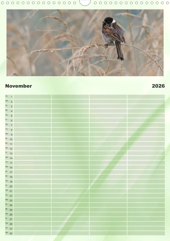 Vögel I Familienplaner