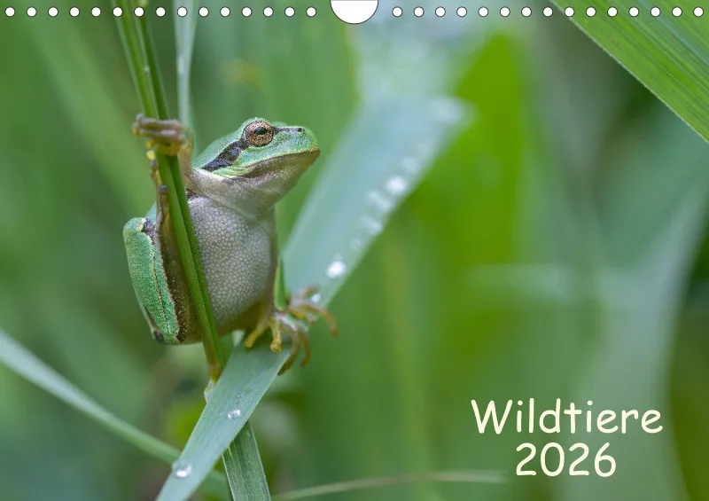 Wildtiere