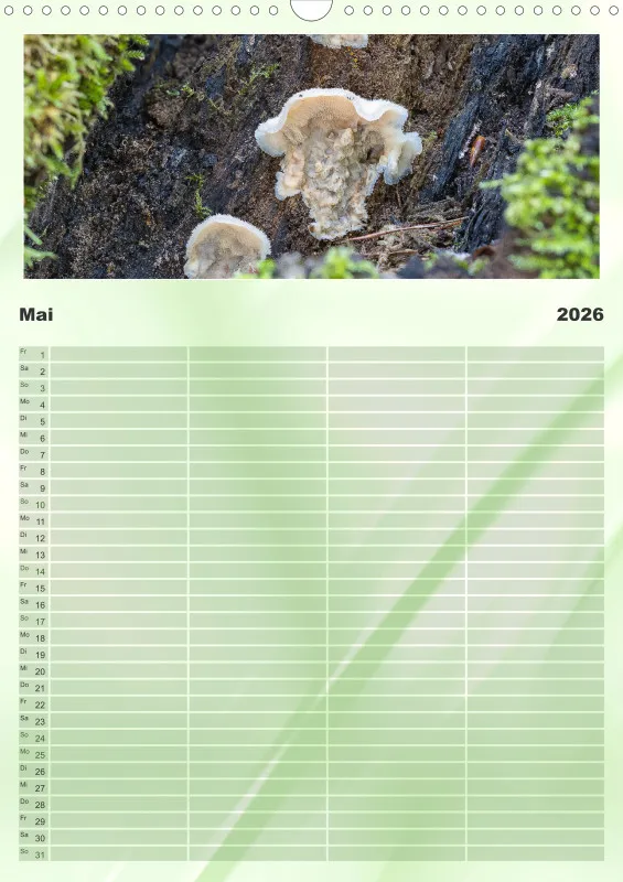 Pilze Familienkalender