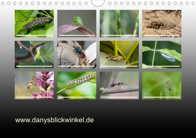 Insekten