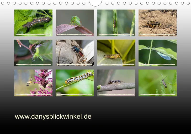Insekten
