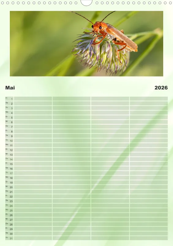 Käfer Familienplaner