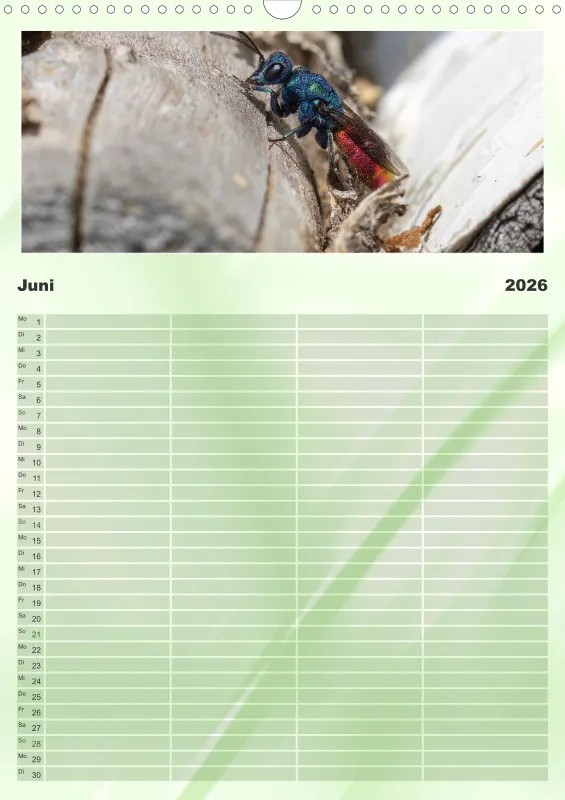 Insekten Familienplaner