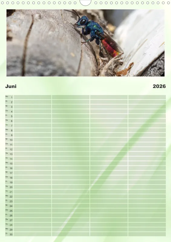 Insekten Familienplaner