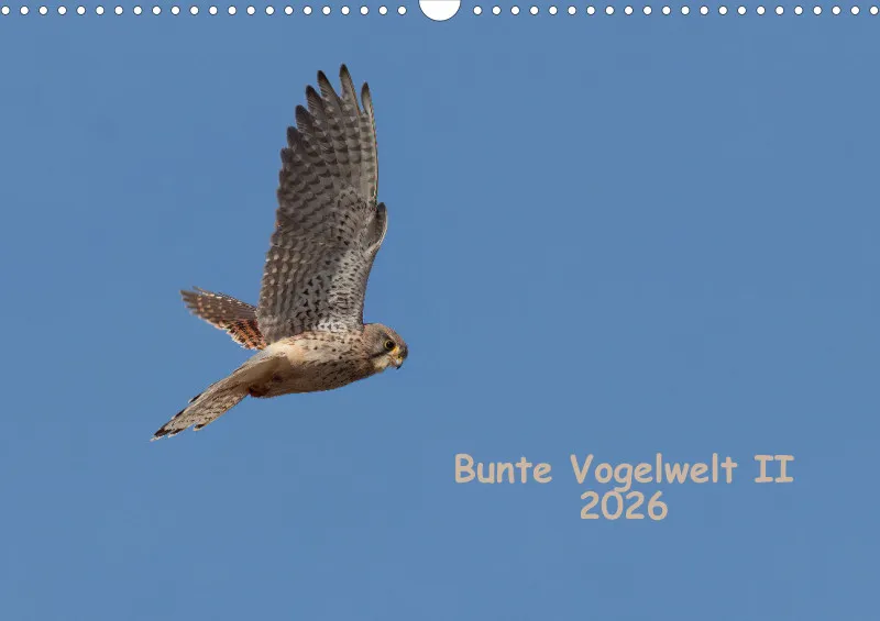 Vögel II