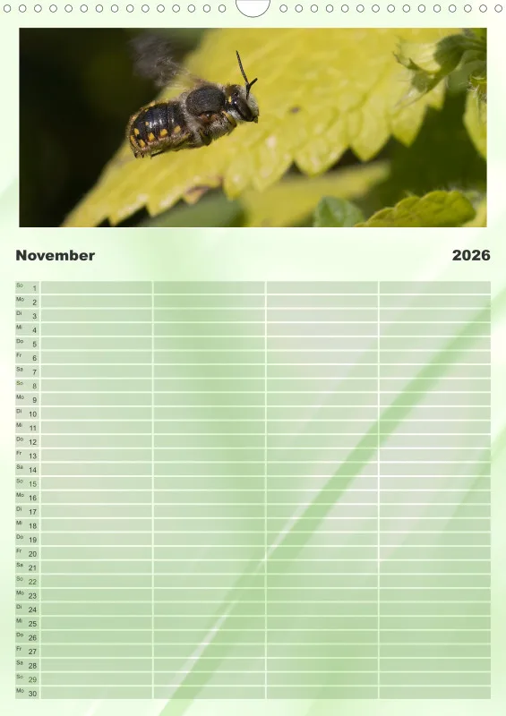 Bienen/Hummeln Familienplaner