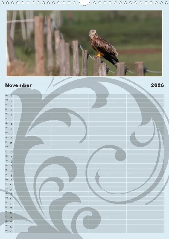 Vögel II Familienplaner