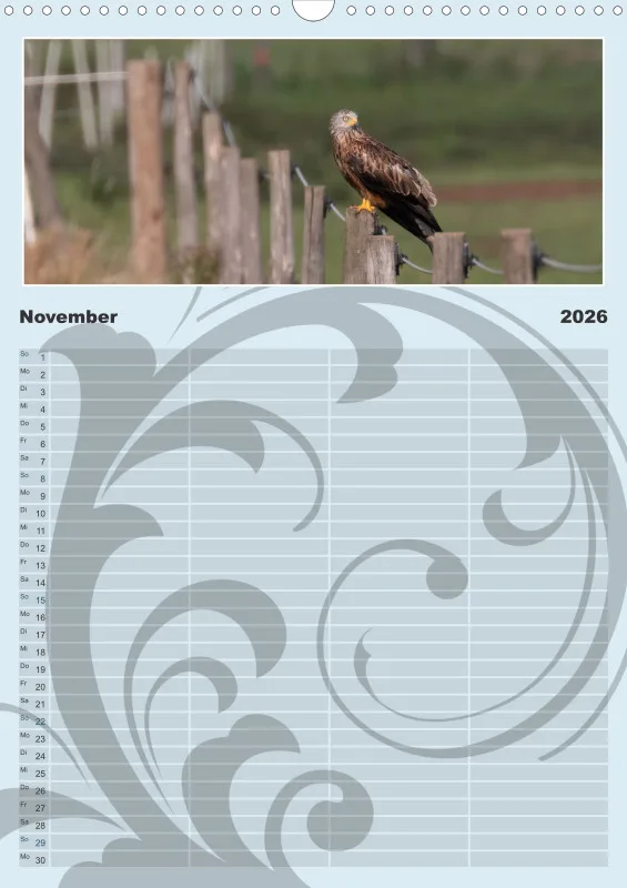 Vögel II Familienplaner