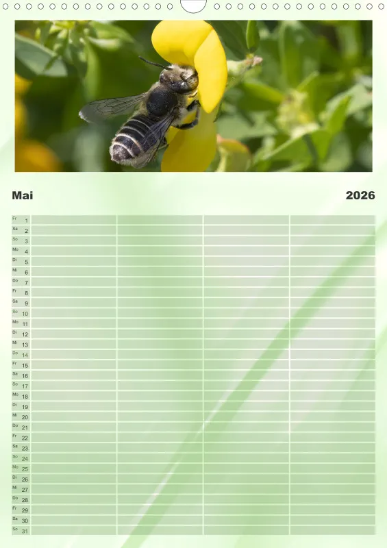 Bienen/Hummeln Familienplaner