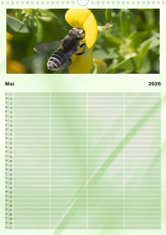 Bienen/Hummeln Familienplaner