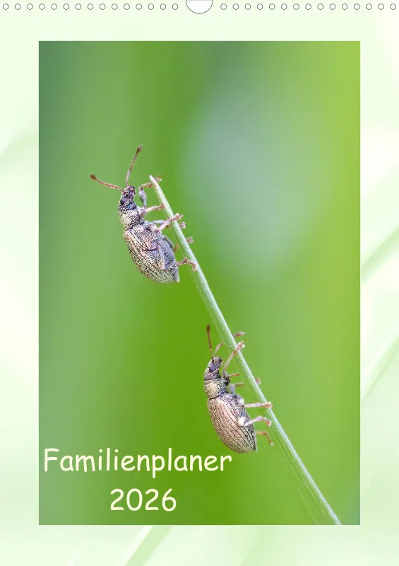 Käfer Familienplaner