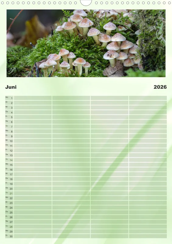 Pilze Familienkalender