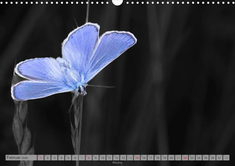 Colorkey