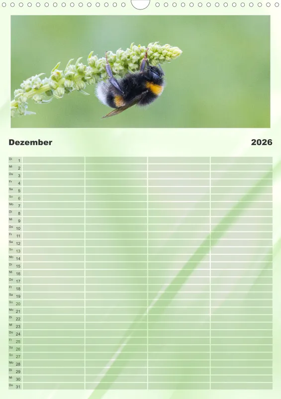 Bienen/Hummeln Familienplaner