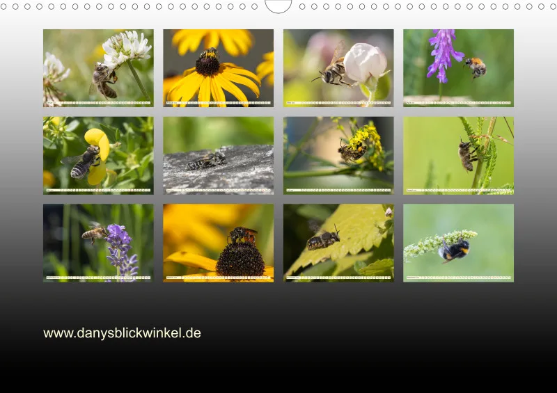Bienen/Hummeln