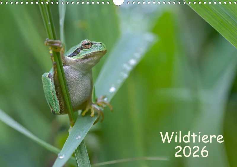 Wildtiere